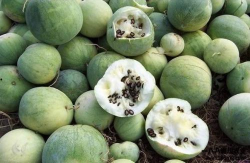 每年吃瓜,盘点娱乐圈那些事儿