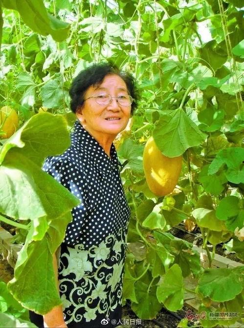 吃瓜群众吴奶奶,揭秘娱乐圈那些事儿