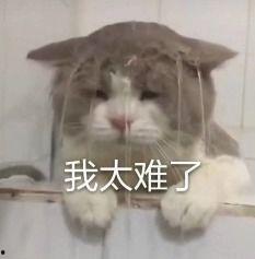 内娱吃瓜君,揭秘娱乐圈幕后故事