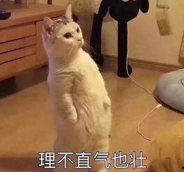 让你吃瓜来着,那些让你吃瓜的幕后故事